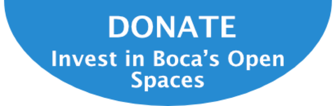 Contribute to the campaign to elect Albert for Open Spaces